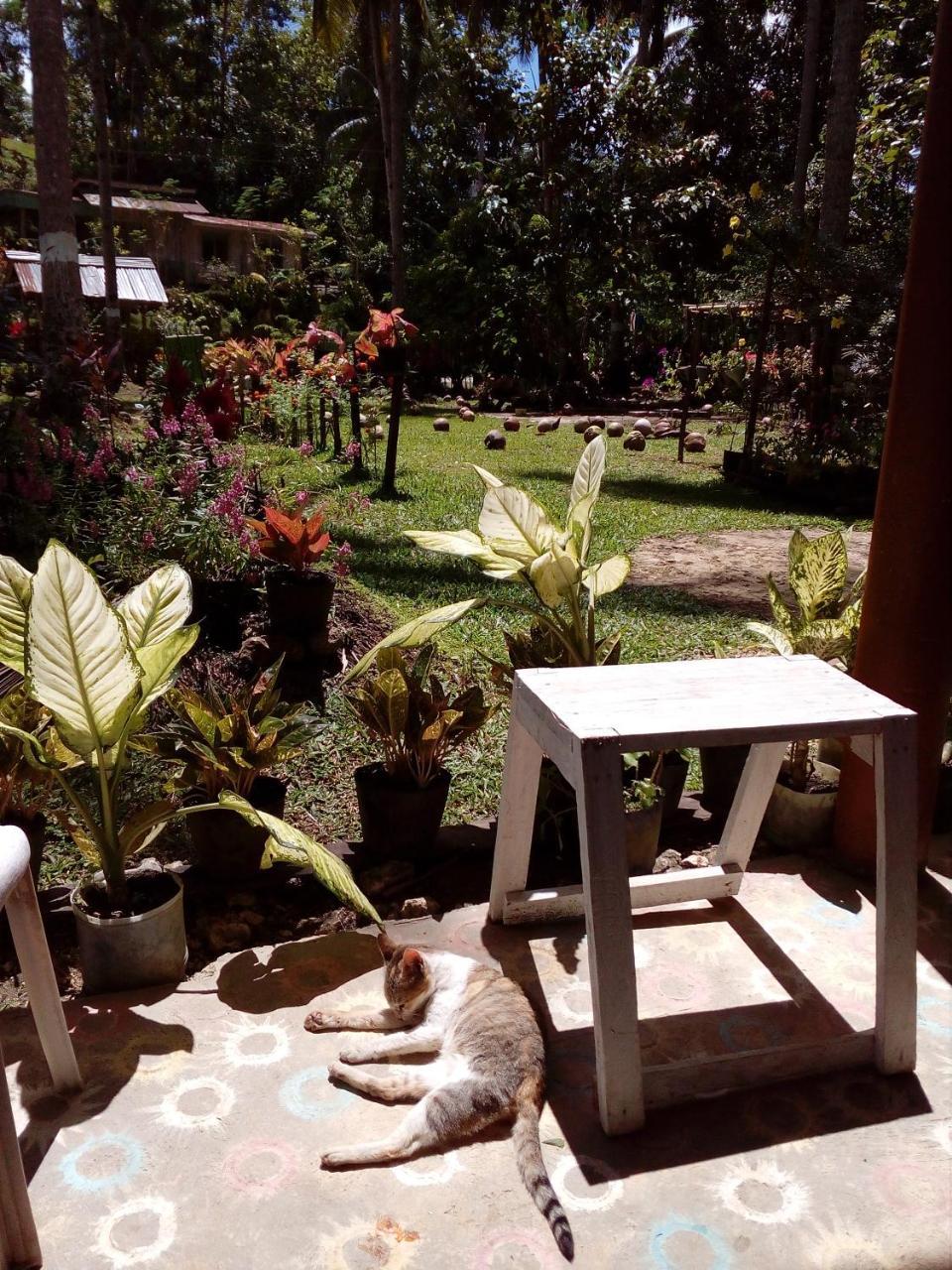 Batuan Hammock Hostel Exterior foto